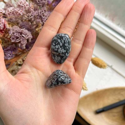 Obsidian Snefnug - Moni Sattler
