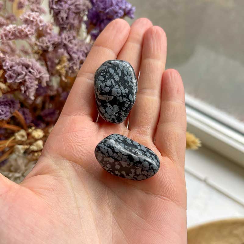 Obsidian Snefnug - Moni Sattler
