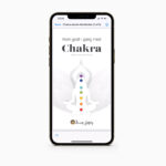 Chakra e-bog - Moni Sattler