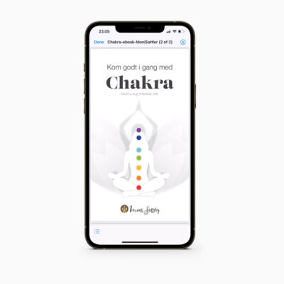 Chakra e-bog - Moni Sattler