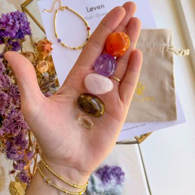 Løven Zodiaci