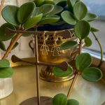 Rafael – Healing & Lysenergi