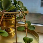 Rafael – Healing & Lysenergi