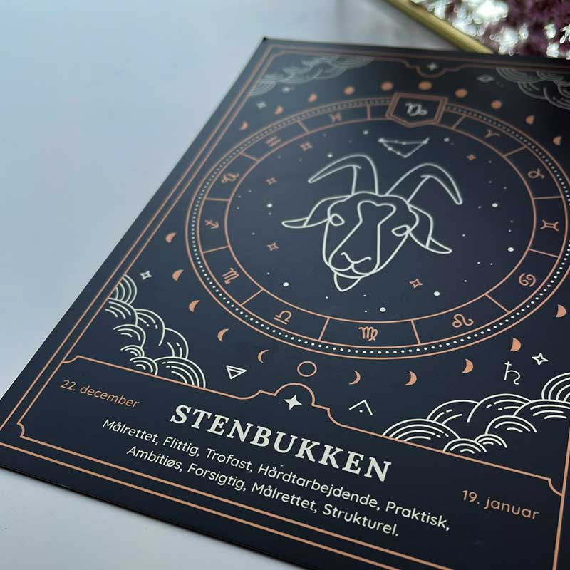 Stenbukken - Moni Sattler