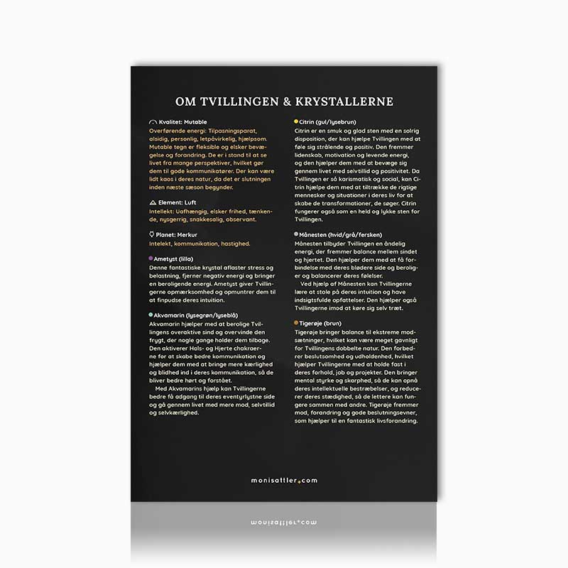 Tvillingen plakat - Moni Sattler