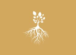Rod chakra & grounding - Moni Sattler