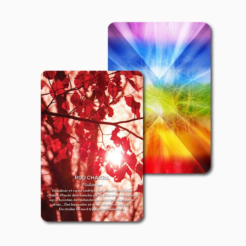 Chakra healing - Moni Sattler