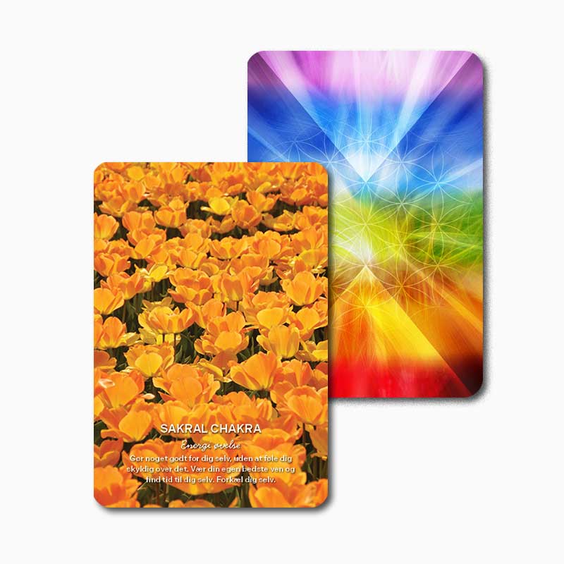 Chakra healing - Moni Sattler